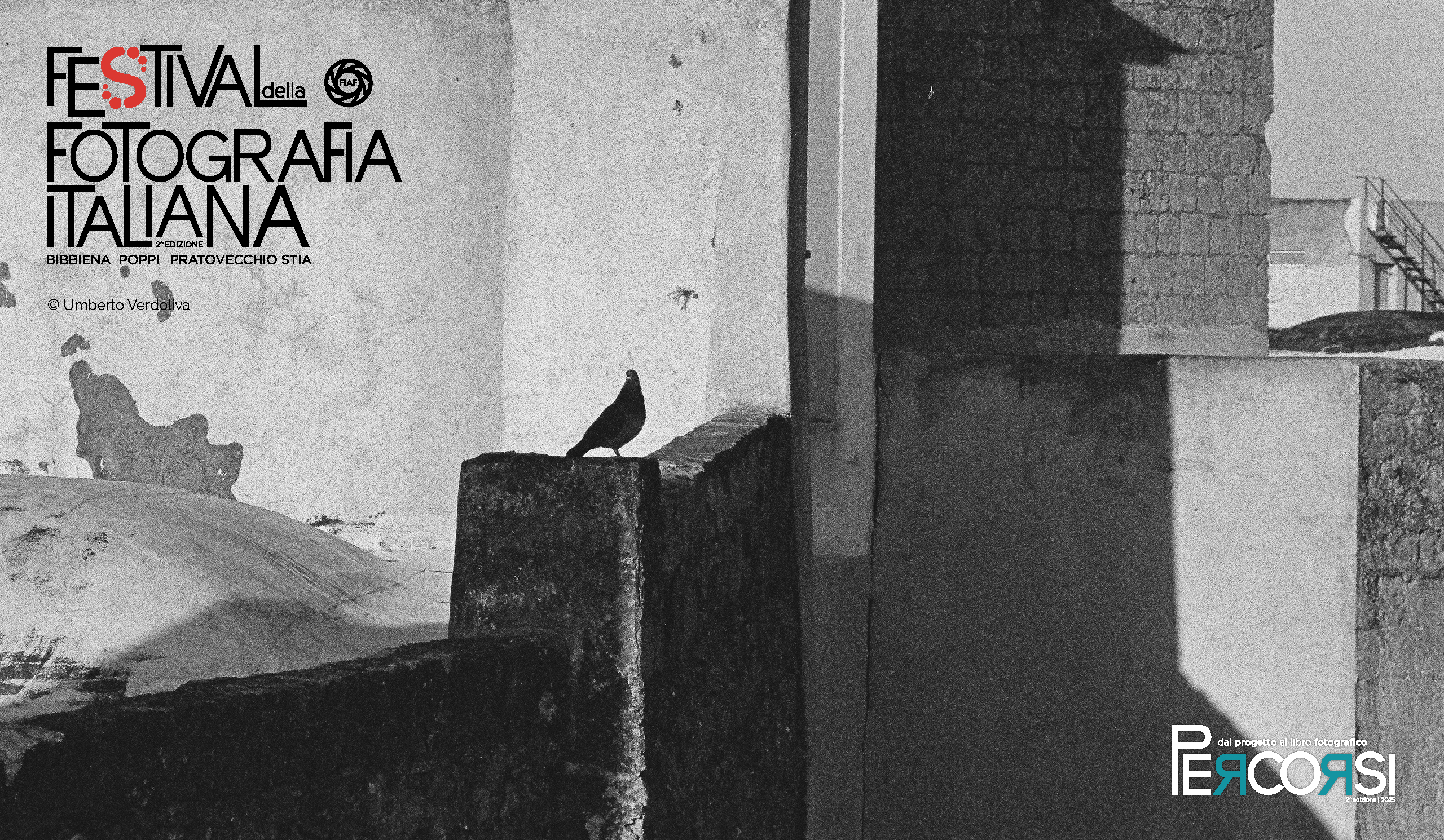 slider 2560x1490 verdoliva2